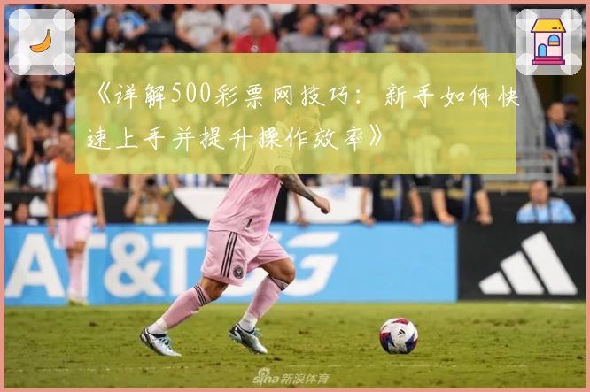 《详解500彩票网技巧：新手如何快速上手并提升操作效率》
