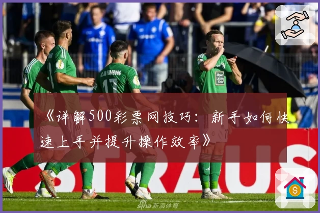 《详解500彩票网技巧：新手如何快速上手并提升操作效率》