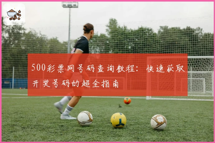 500彩票网号码查询教程：快速获取开奖号码的超全指南