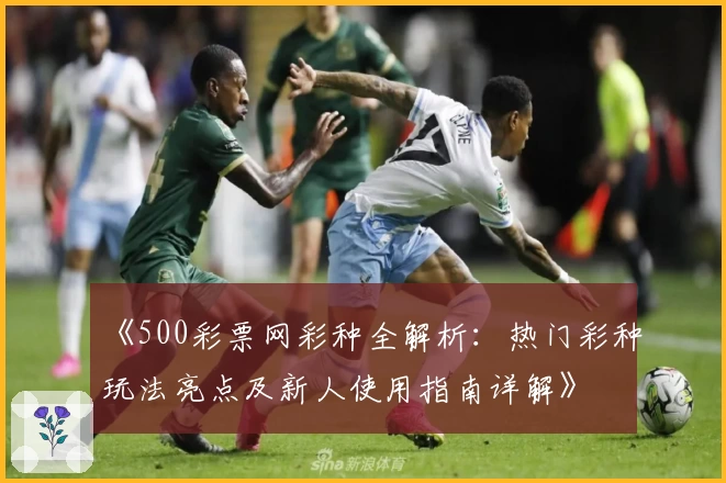 《500彩票网彩种全解析：热门彩种玩法亮点及新人使用指南详解》