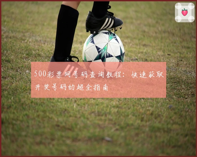 500彩票网号码查询教程：快速获取开奖号码的超全指南