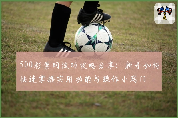 500彩票网技巧攻略分享：新手如何快速掌握实用功能与操作小窍门