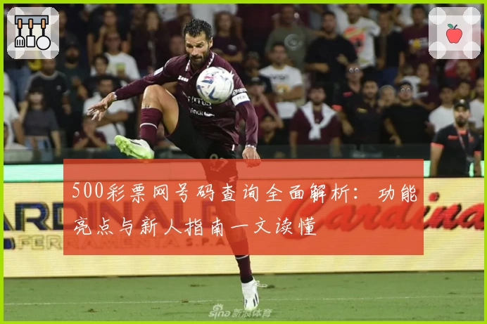500彩票网号码查询全面解析：功能亮点与新人指南一文读懂